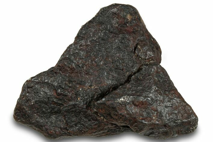 Canyon Diablo Iron Meteorite ( g) - Arizona #319583